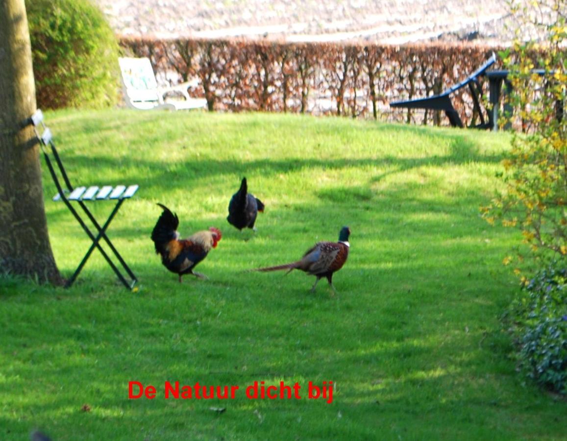 Villa De Riekhoff Een-West Esterno foto