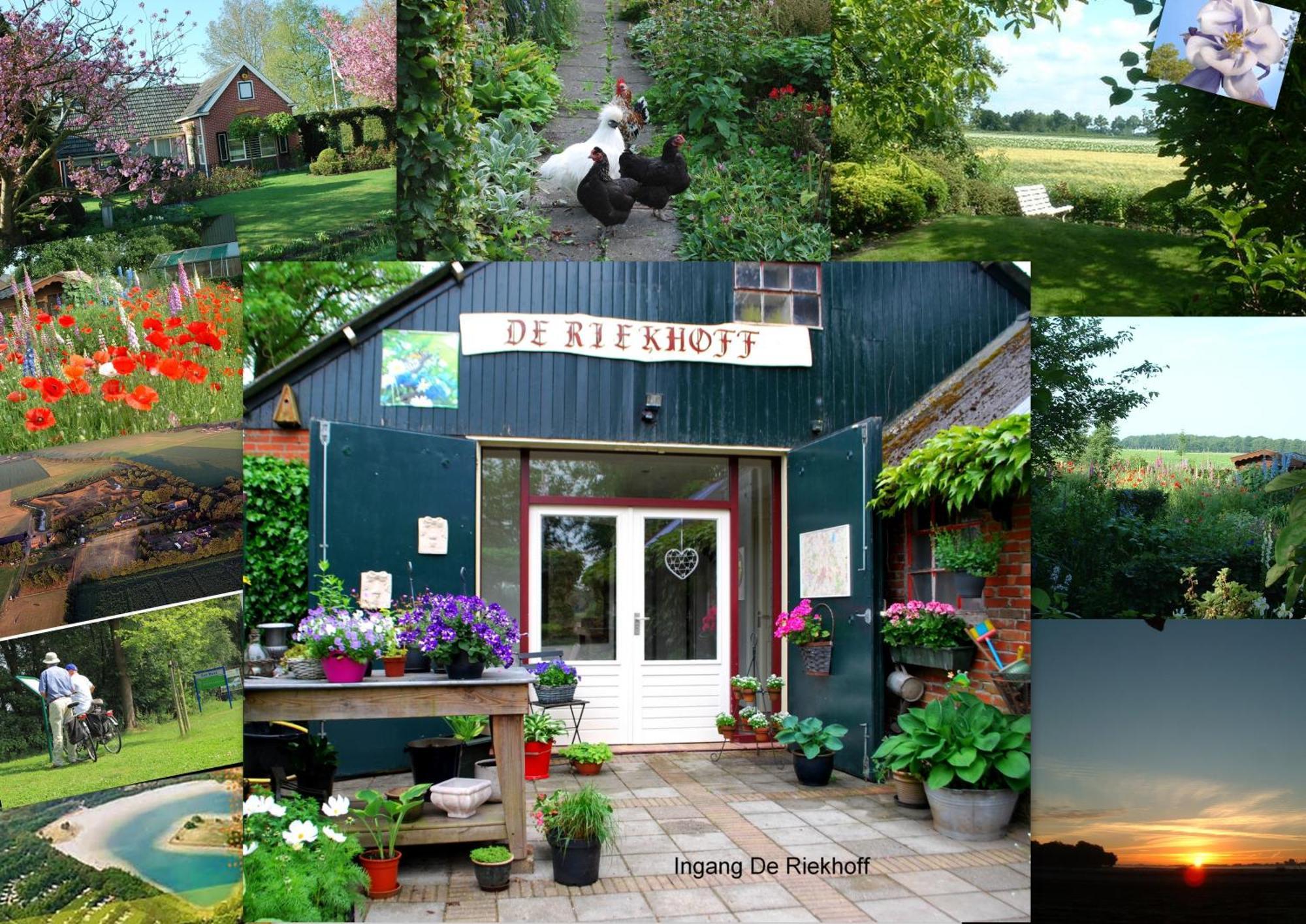 Villa De Riekhoff Een-West Esterno foto
