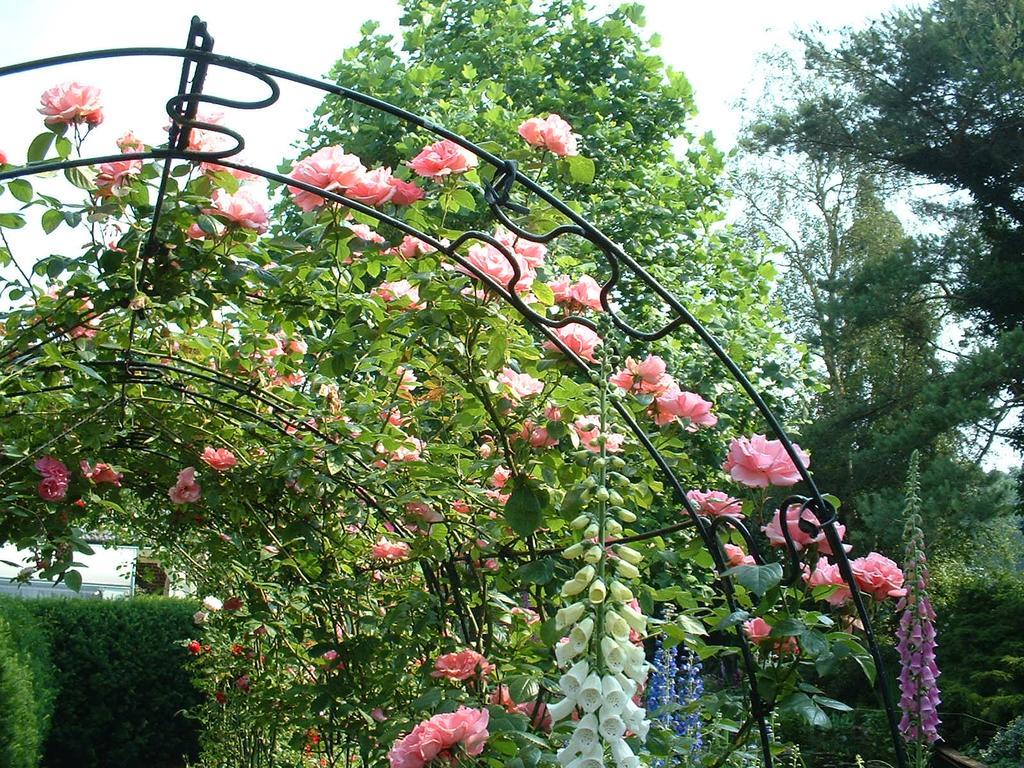 Villa De Riekhoff Een-West Esterno foto