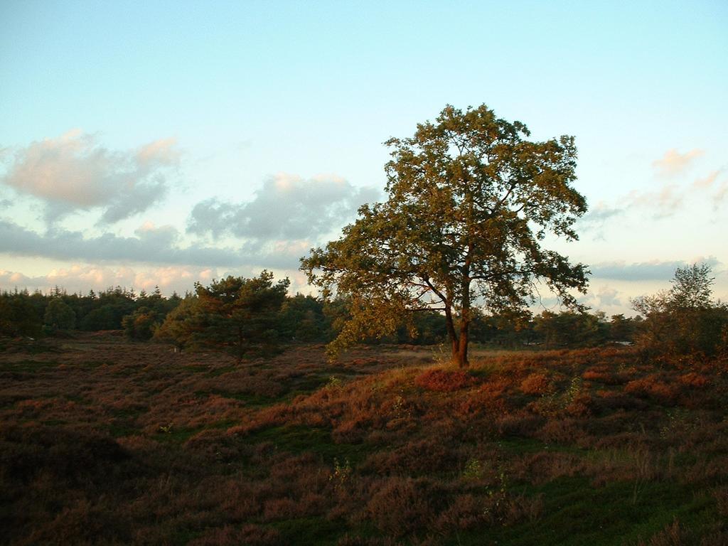 Villa De Riekhoff Een-West Esterno foto
