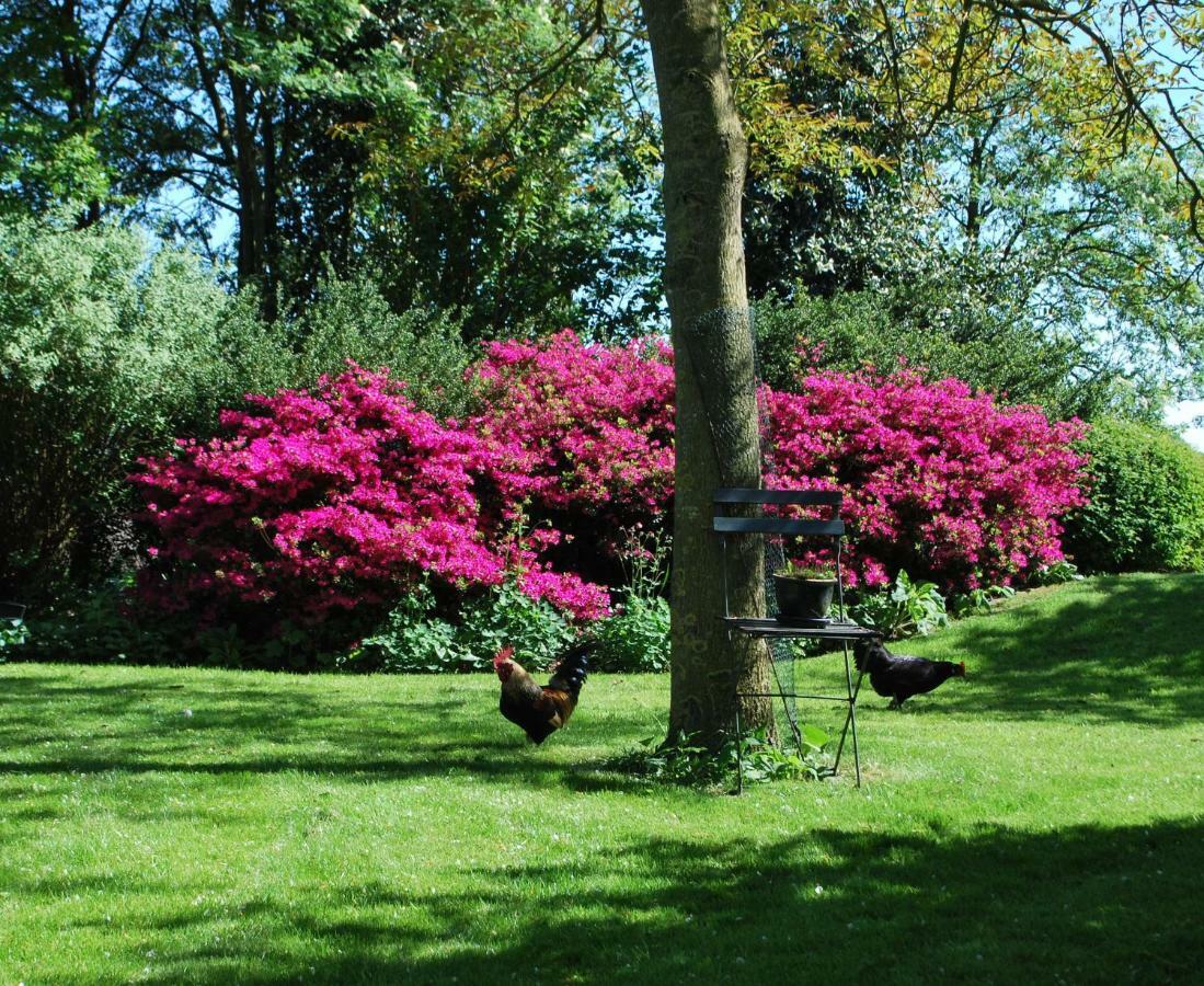 Villa De Riekhoff Een-West Esterno foto