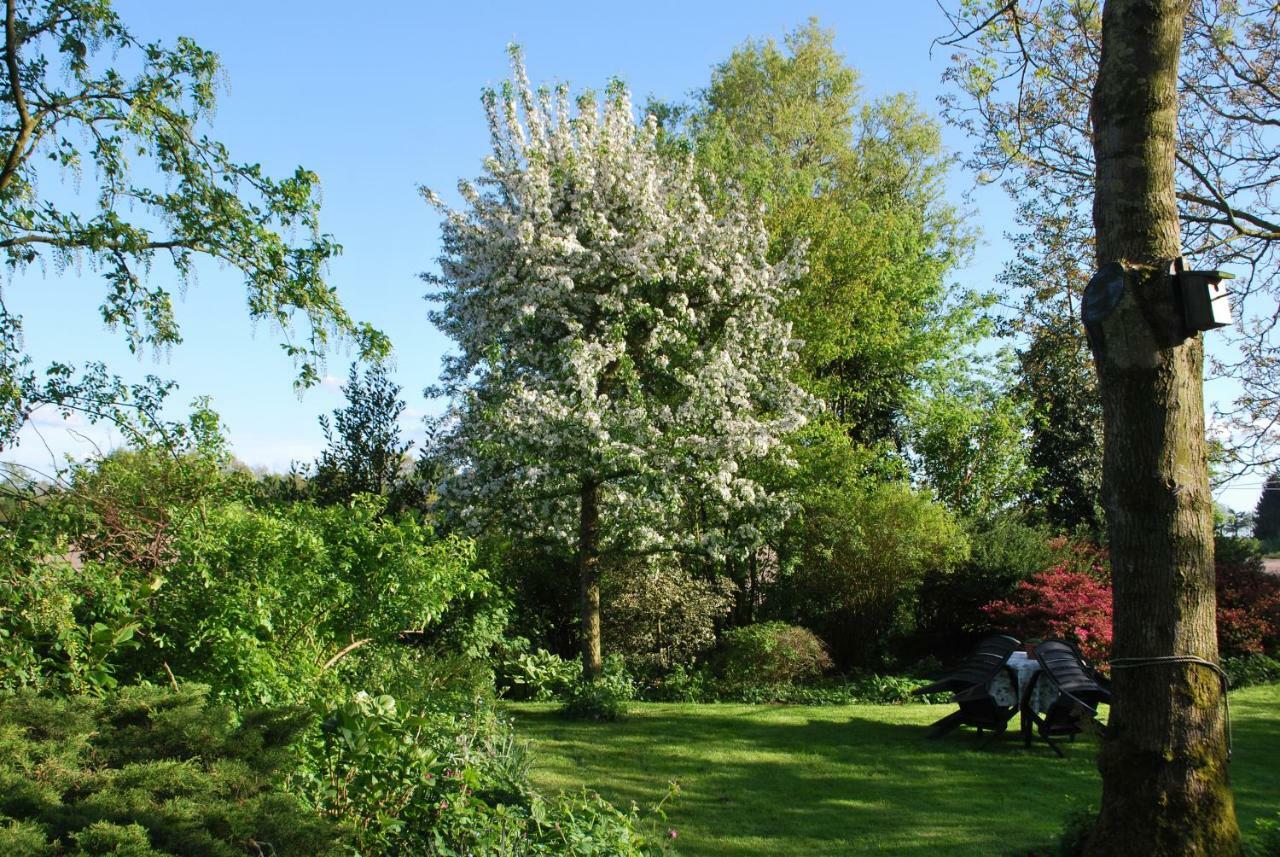 Villa De Riekhoff Een-West Esterno foto