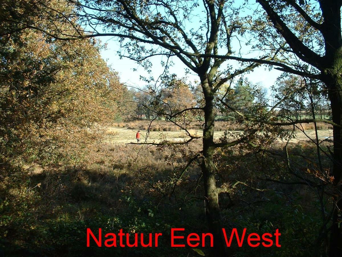 Villa De Riekhoff Een-West Esterno foto