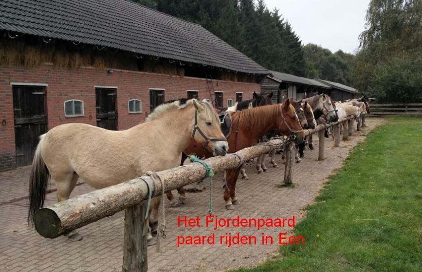 Villa De Riekhoff Een-West Esterno foto