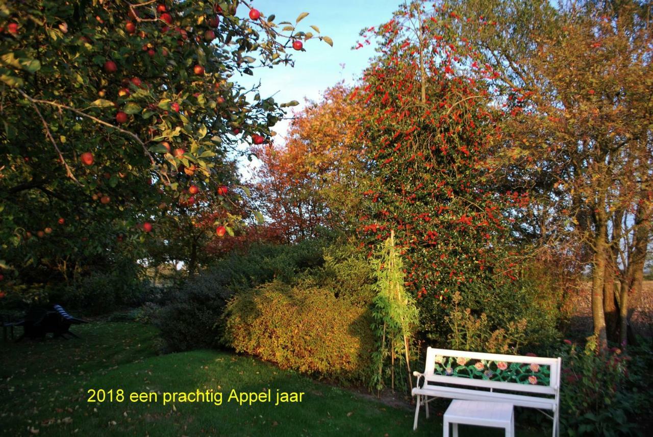 Villa De Riekhoff Een-West Esterno foto